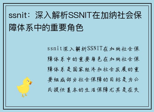 ssnit：深入解析SSNIT在加纳社会保障体系中的重要角色